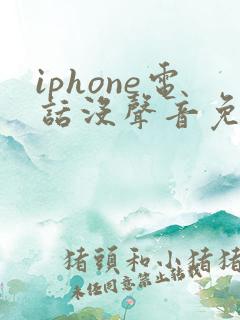 iphone电话没声音免提有声音