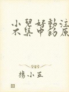 小儿好动注意力不集中的原因