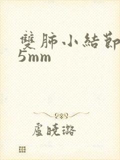 双肺小结节3一5mm