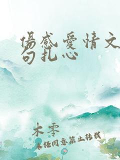 伤感爱情文案短句扎心