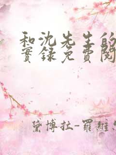 和沈先生的恋爱实录免费阅读