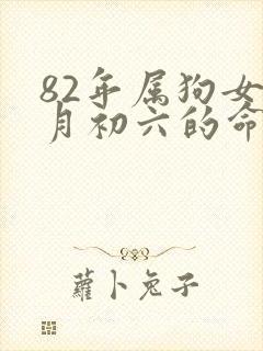 82年属狗女六月初六的命运