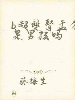 b超双肾盂分离是男孩吗