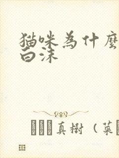 猫咪为什么口吐白沫