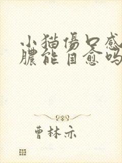 小猫伤口感染化脓能自愈吗