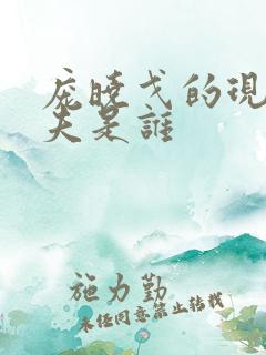 庞晓戈的现任丈夫是谁