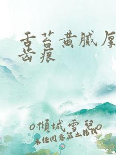 舌苔黄腻厚白有齿痕