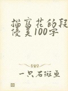 描写花的段落超优美100字