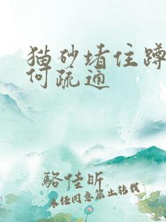 猫砂堵住蹲坑如何疏通