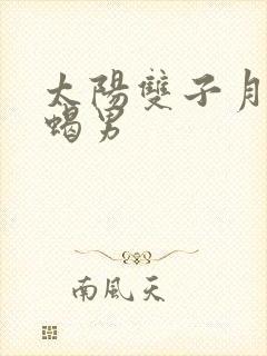 太阳双子月亮天蝎男