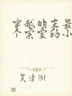 穿越明末最后一个宗室的小说