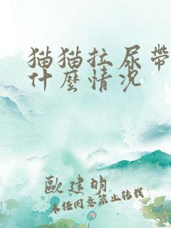 猫猫拉尿带血是什么情况