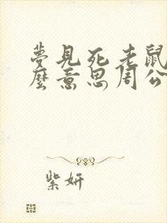 梦见死老鼠是什么意思周公解梦