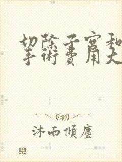 切除子宫和卵巢手术费用大概是多少