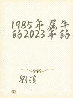 1985年属牛的2023年的运势