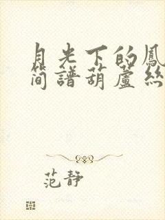 月光下的凤尾竹简谱葫芦丝