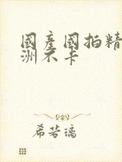 国产国拍精品亚洲不卡