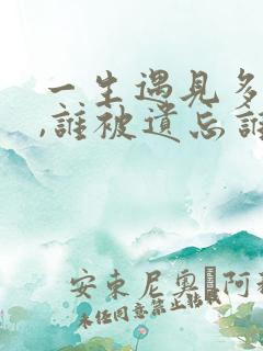 一生遇见多少人,谁被遗忘谁被想起是什么歌