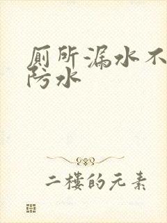 厕所漏水不砸砖防水