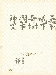 神澜奇域无双珠完本txt下载