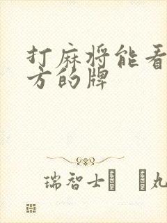 打麻将能看到对方的牌