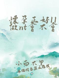 怀孕正好11周做nt会不会太早