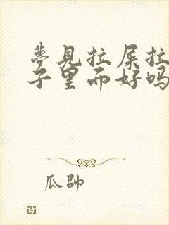 梦见拉屎拉裤兜子里面好吗