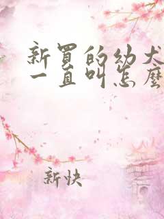 新买的幼犬晚上一直叫怎么办