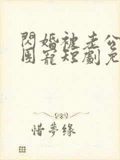 闪婚被老公全家团宠短剧免费观看全集大结局