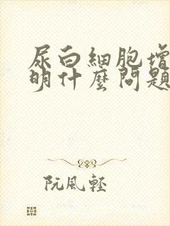 尿白细胞增多说明什么问题