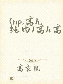 (np,高h,纯肉)高h高辣