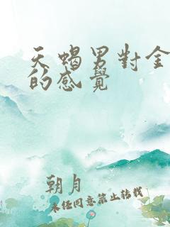 天蝎男对金牛女的感觉