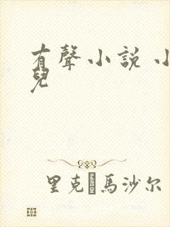 有声小说 小苮儿