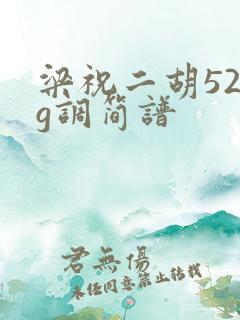梁祝二胡52弦g调简谱
