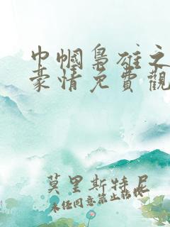 巾帼枭雄之义海豪情免费观看全集