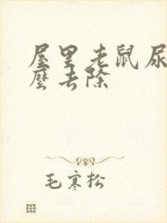 屋里老鼠尿味怎么去除