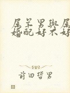 属羊男与属龙女婚配好不好