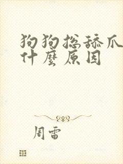 狗狗总舔爪子是什么原因