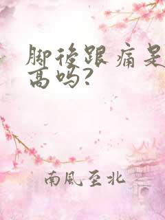 脚后跟痛是尿酸高吗?