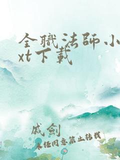 全职法师小说txt下载