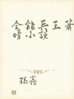 全能兵王萧晨苏晴小说