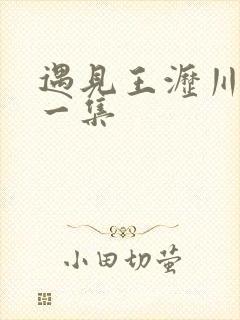 遇见王沥川最后一集