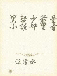 黑帮少爷爱上我小说哪里看