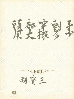 头部穿刺手术费用大概多少钱