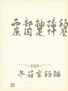 面部抽搐的形成原因是什么