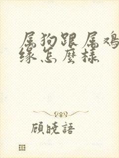 属狗跟属鸡的姻缘怎么样