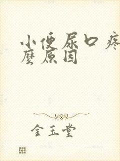 小便尿口疼是什么原因