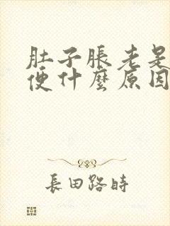 肚子胀老是上大便什么原因