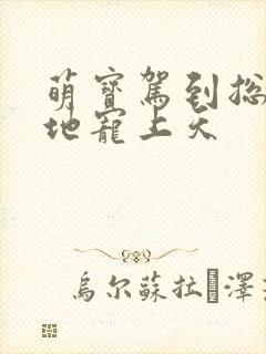 萌宝驾到总裁爹地宠上天