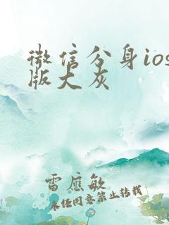 微信分身ios版大灰